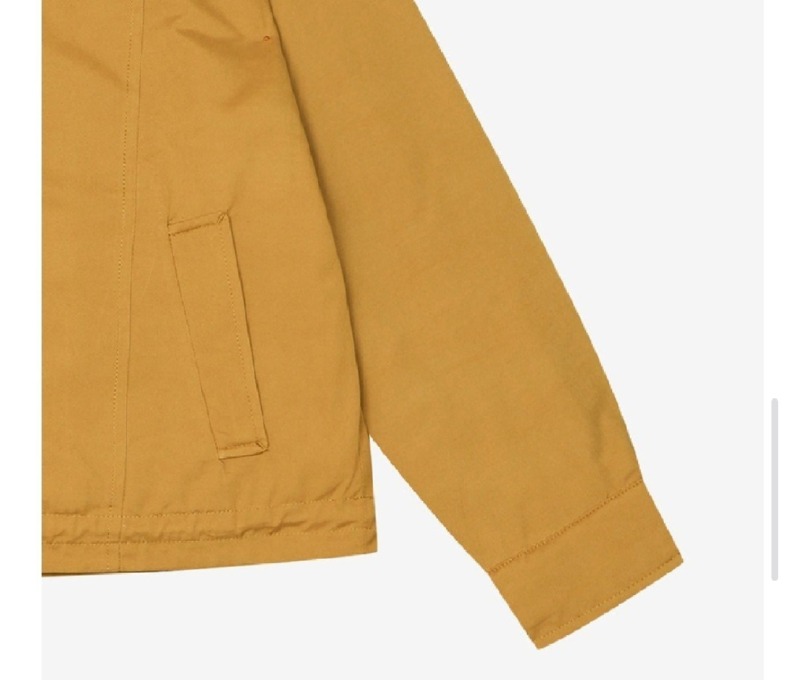 Screenshot_20251129-133539_Samsung Internet.jpg