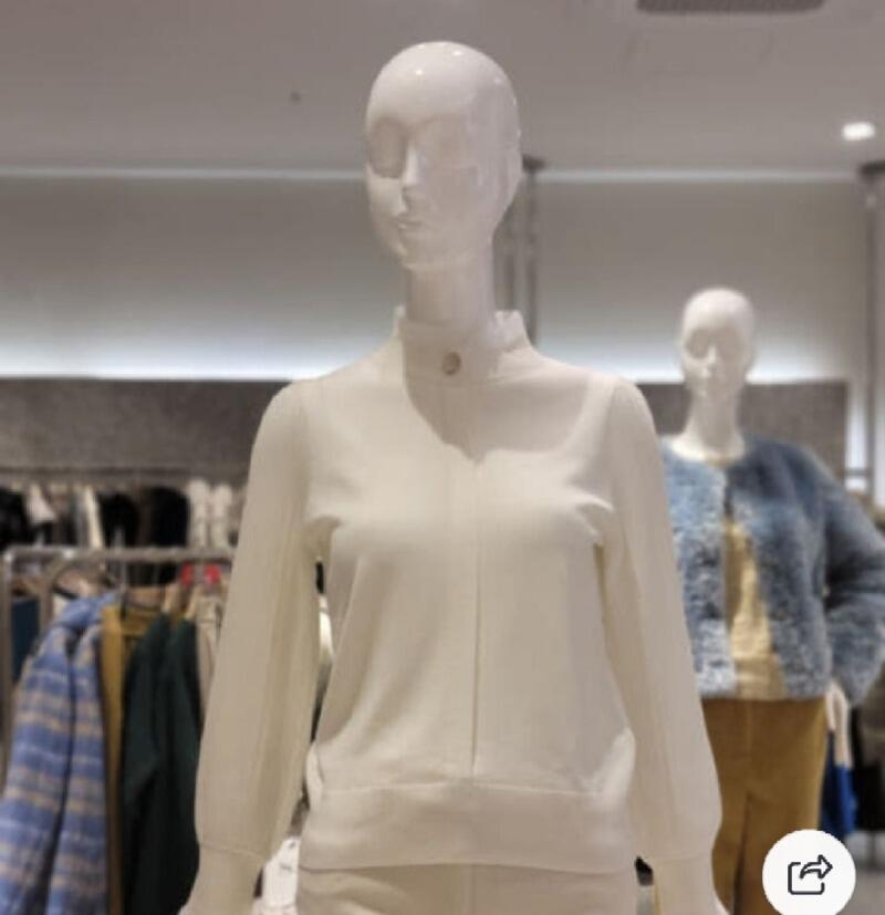 Screenshot_20260215-131243_Samsung Internet.jpg