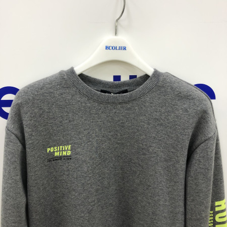 칼라 로고 밍크 맨투맨티(그레이) 19D1409