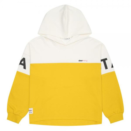 빅로고 포인트 크롭 후드티20C0455