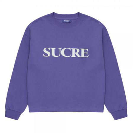 빅레터링 크롭 티셔츠 21A3466