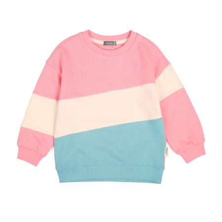 코디코디티 11952100151