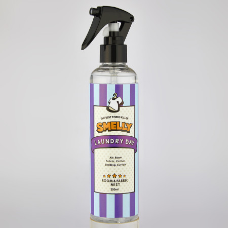 스멜리 룸앤패브릭 실내섬유용 탈취방향제 런드리데이 250ml